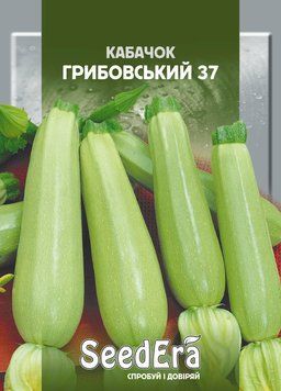 Кабачок ГРИБОВСЬКИЙ 37 Seedera, 20 г 5962 фото