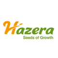 Hazera