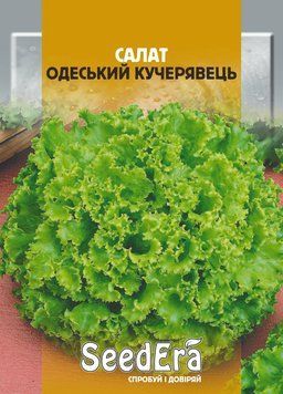 Салат КУЧЕРЯВЫЙ ОДЕССКИЙ, (листовой) Seedera, 10 г 5967 фото