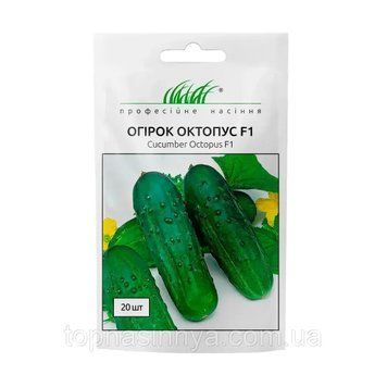 Огірок Октопус F1 бджолозапильний, 20 шт 322 фото