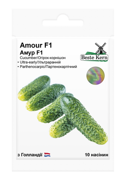 Огурец Амур F1 10 (шт.) Beste Kern 4280 фото