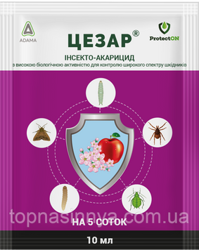 Цезар, 10 мл, ProtectON 3128 фото