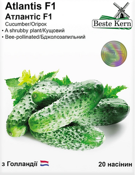 Огірок Атлантіс F1 20 (шт.) Beste Kern  4315 фото
