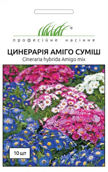 Цинерарія гібридна (перикалліс) Аміго суміш 10 шт 5712 фото