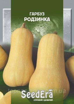 Гарбуз Родзинка Seedera, 2 г 5066 фото