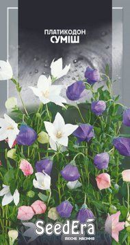 Квіти Платикодон великоквітковий суміш багаторічний Seedera, 0,1 г 3926 фото