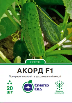 Акорд F1, огірок корнішон, комахозапильний, 20 нас. 5549 фото
