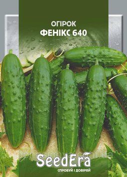 Огірок ФЕНІКС 640 Seedera, 20 г 2857 фото