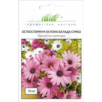 Остеоспермум (африканська ромашка) Балада суміш 10 шт 5720 фото