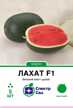 Лахат F1, кавун, тип шуга бебі, 5 нас 5560 фото