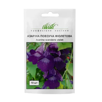 Азаріна повзуча фіолетова 10 шт  6480 фото