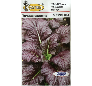 Салат Горчица красная 1г.  5534 фото